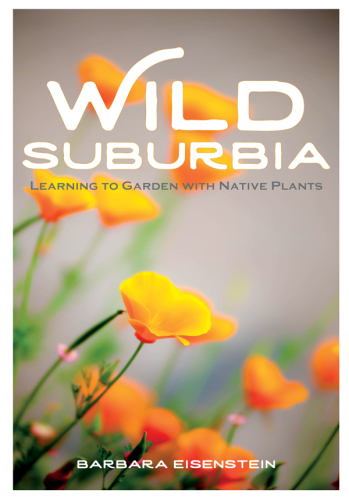 Wild Suburbia