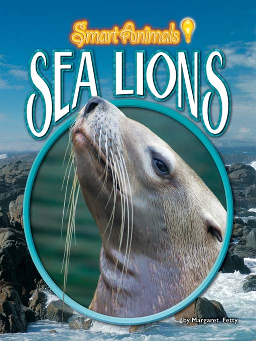 Sea Lions