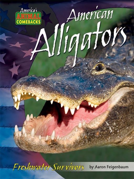 American Alligators