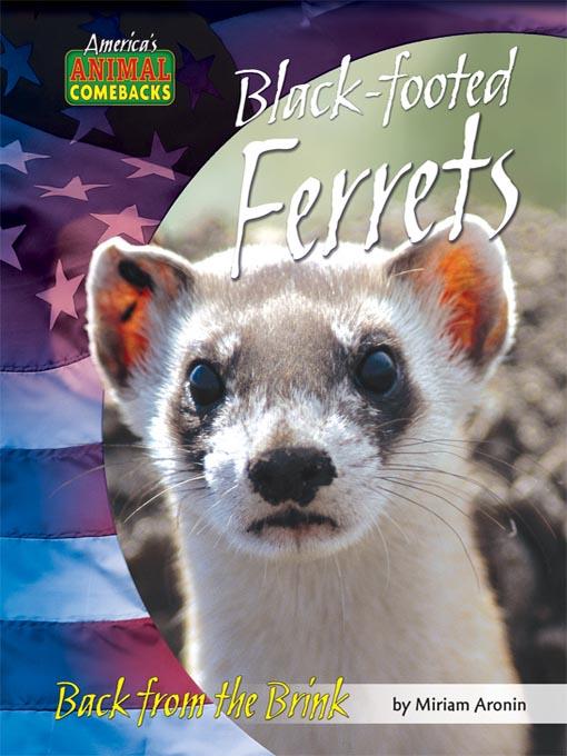 Black-footed Ferrets