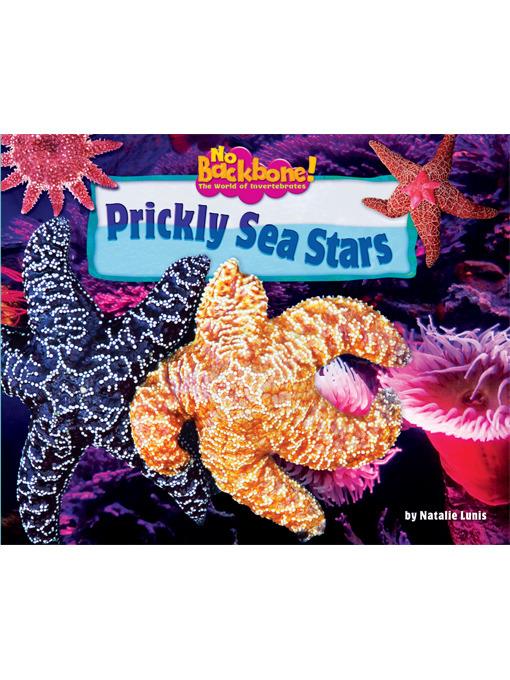 Prickly Sea Stars