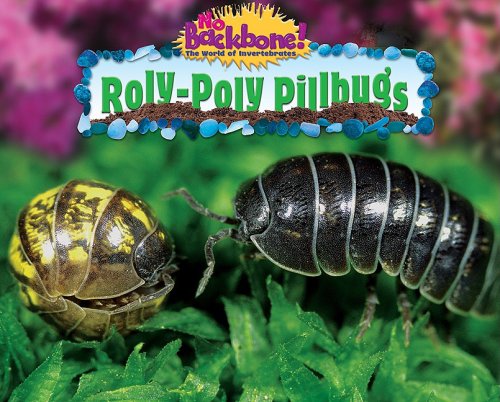 Roly-Poly Pillbugs