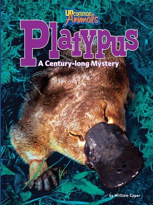 Platypus