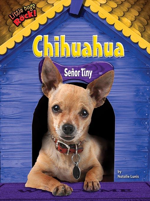 Chihuahua