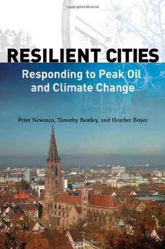 Resilient Cities