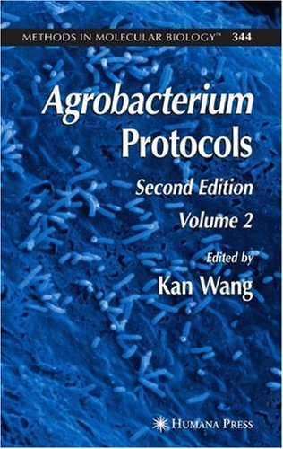 Agrobacterium protocols. Volume 344, Part 2