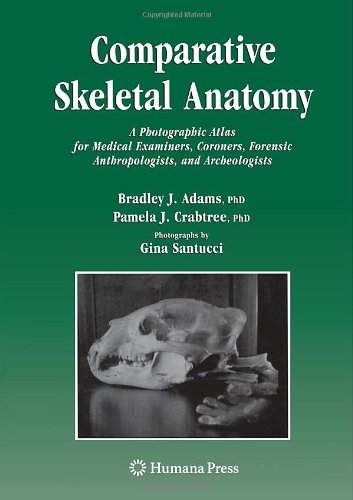 Comparative Skeletal Anatomy