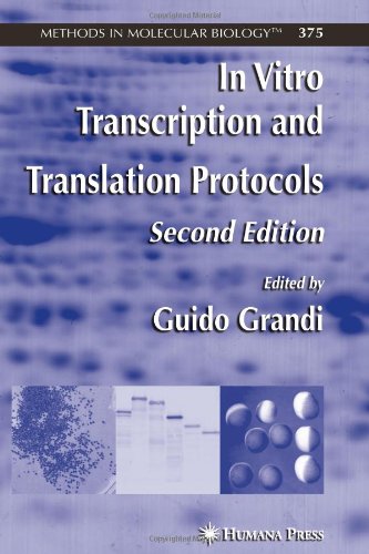 In Vitro Transcription and Translation Protocols