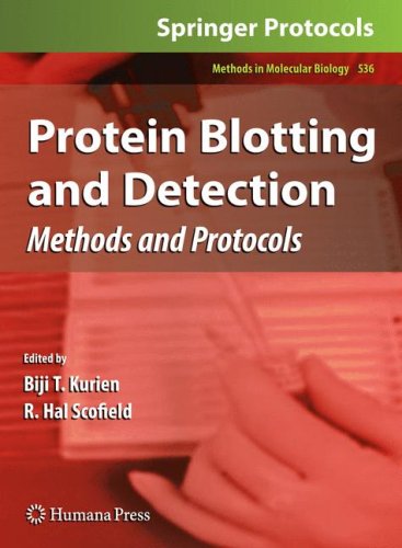 Protein Blotting and Detection : Methods and Protocols