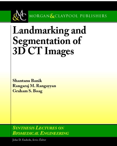 Landmarking and Segmentation of 3D CT Images