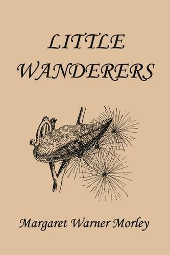 Little Wanderers