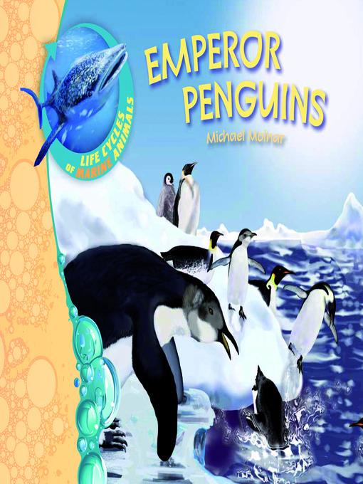 Emperor Penguins