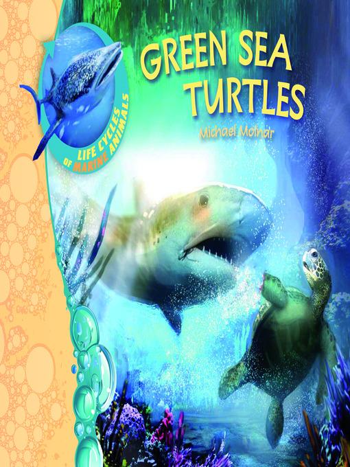 Green Sea Turtles