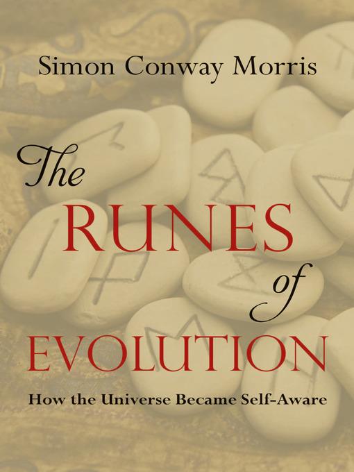 The Runes of Evolution