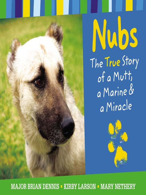 Nubs