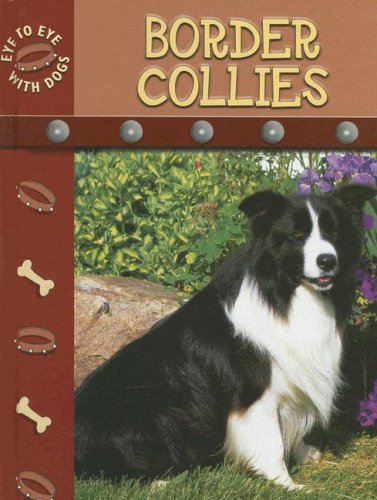 Border Collies