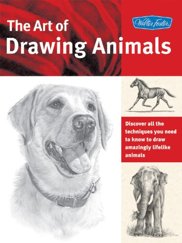 The Art of Drawing Animals