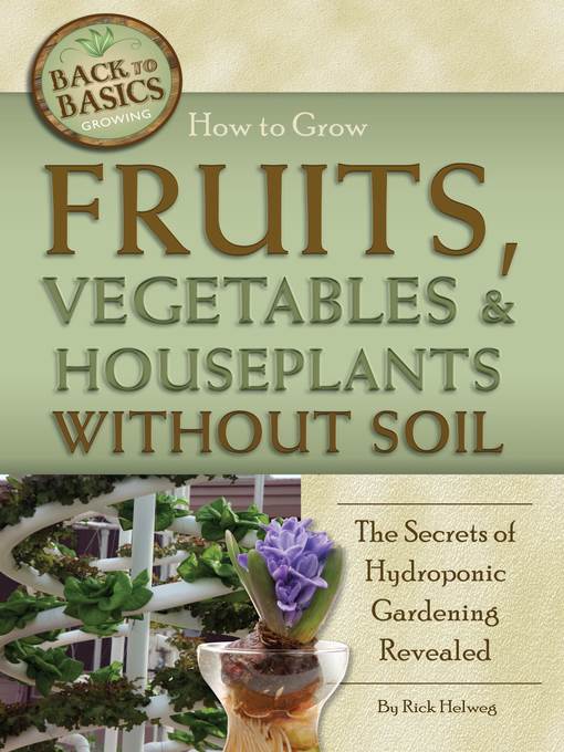 How to Grow Fruits, Vegetables & Houseplants Without Soil