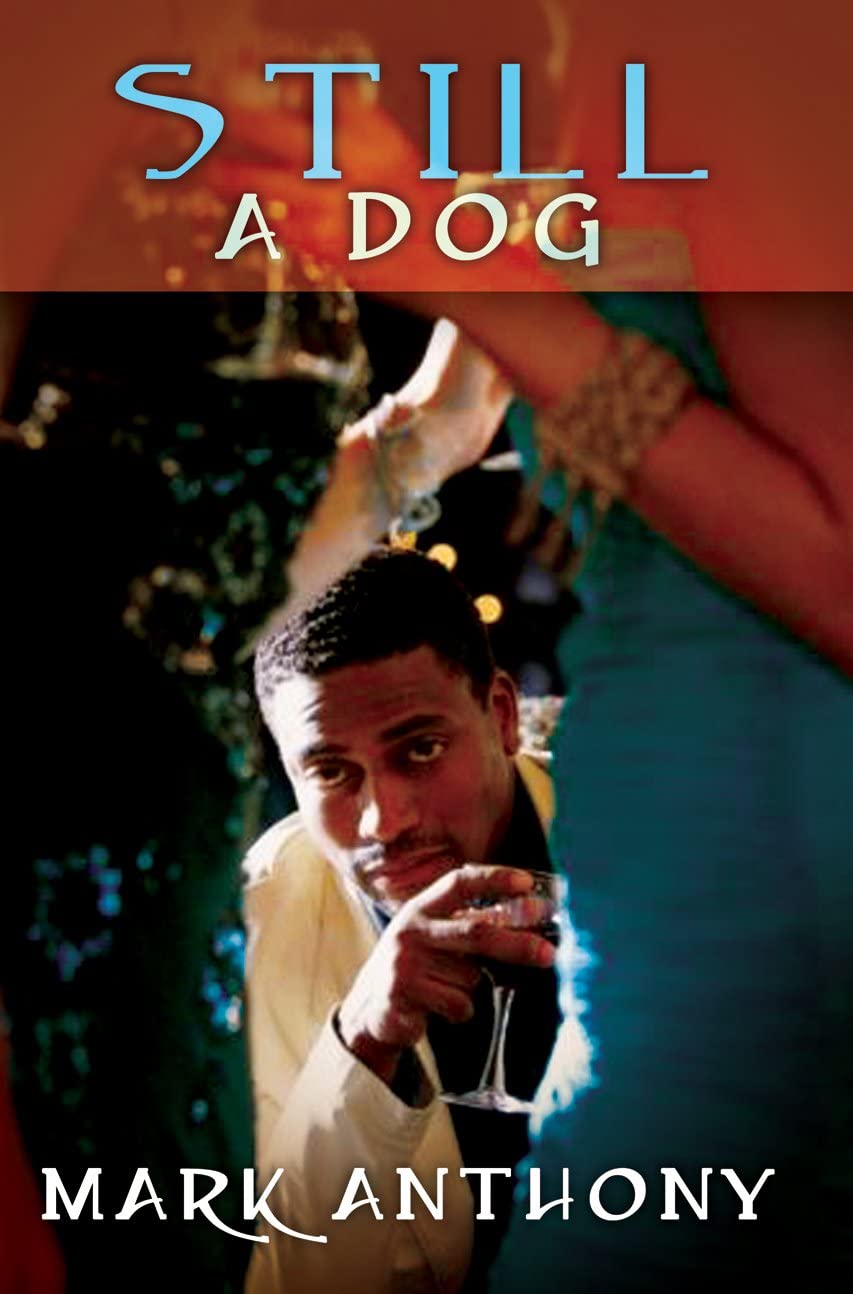 Still A Dog (Urban Books)