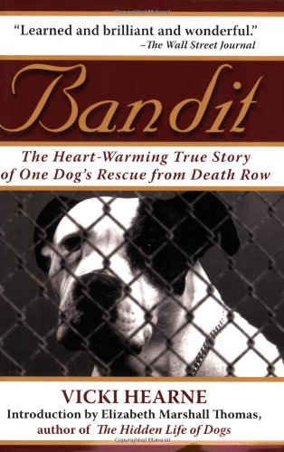 Bandit