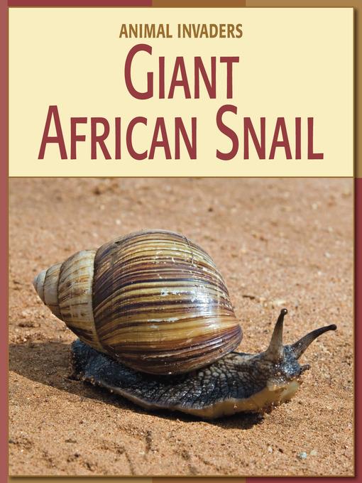 Giant African Snail