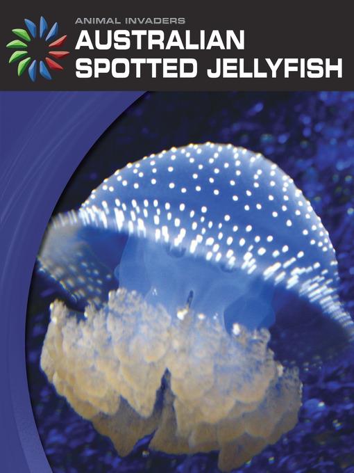 Australian Spotted Jellyfish