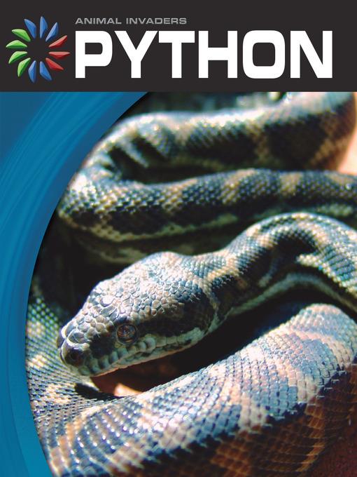 Python