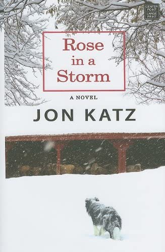 Rose in a Storm (Center Point Platinum Fiction)