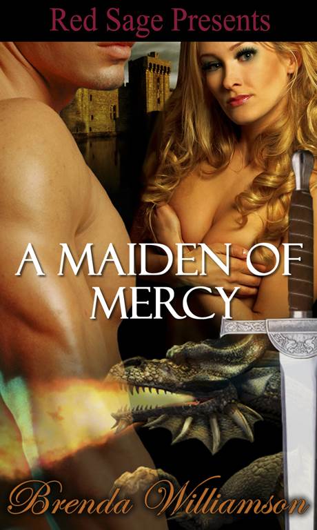 A Maiden Of Mercy ~  Dragon Fighter Romance ~ Book 2