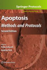 Apoptosis