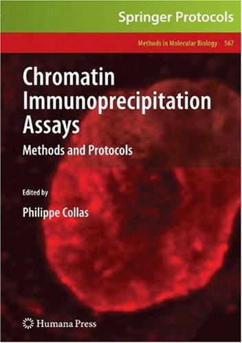 Chromatin Immunoprecipitation Assays