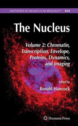 The nucleus. Volume 464, Part 2, Chromatin, transcription, envelope, proteins, dynamics and imaging