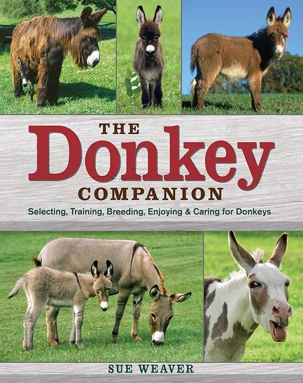 The Donkey Companion: Selecting, Training, Breeding, Enjoying &amp; Caring for Donkeys