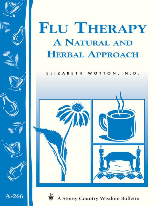 Flu Therapy A Natural Herbal Approach