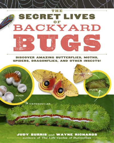 The Secret Lives of Backyard Bugs