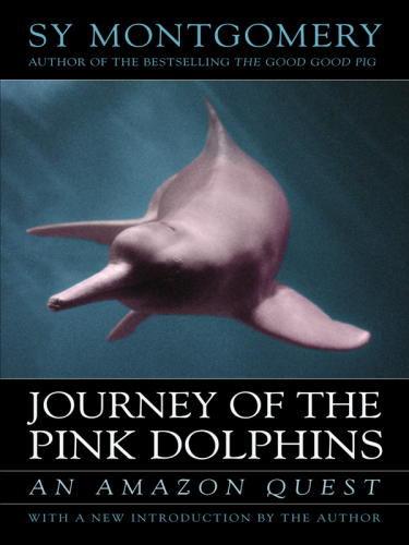 Journey of the Pink Dolphins