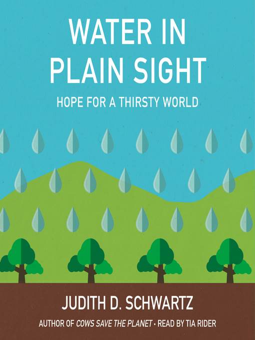 Water in Plain Sight