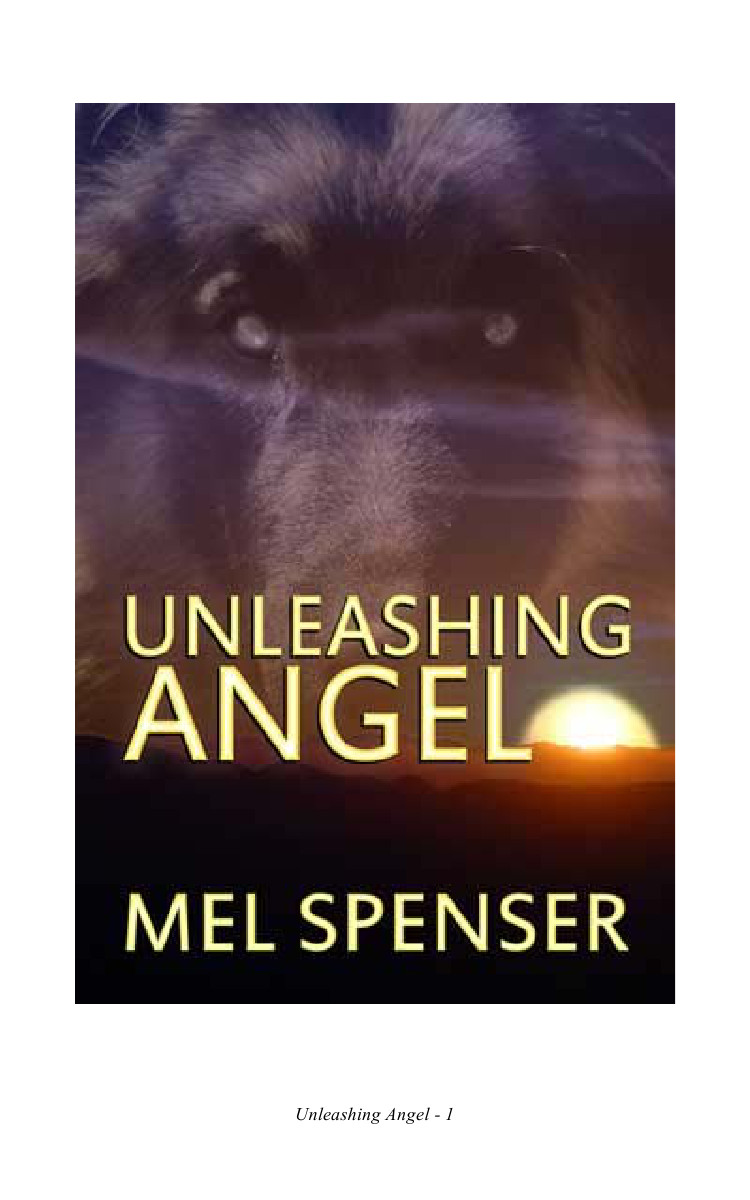 Unleashing Angel