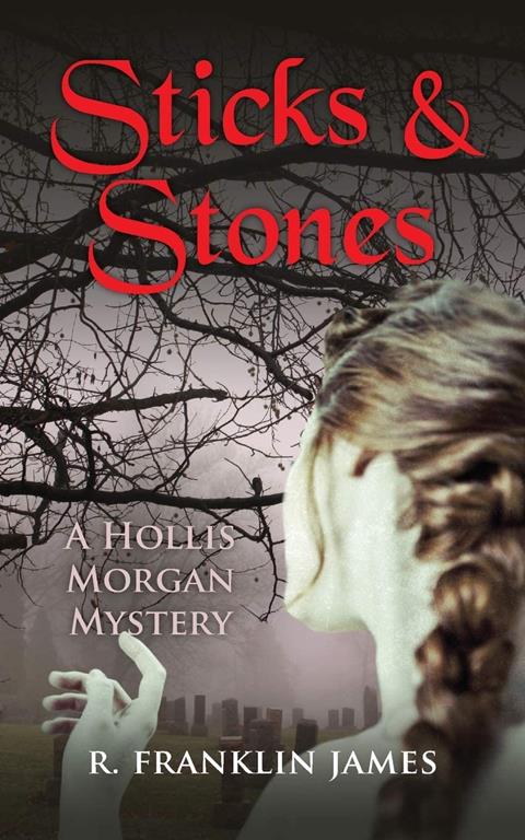 Sticks &amp; Stones (Hollis Morgan Mystery)