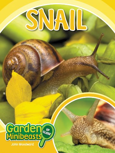 Snail