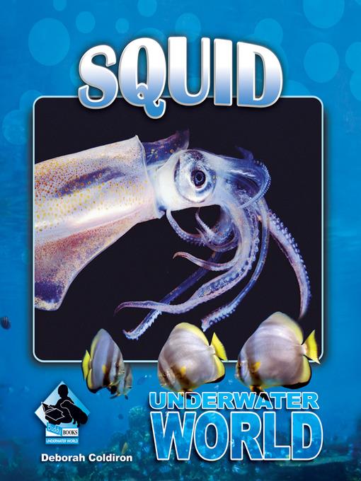 Squid