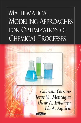 Mathematical Modeling Approaches For Optimization Of Chemical Processes