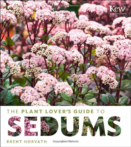 The Plant Lover's Guide to Sedums