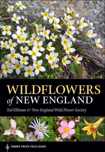 Wildflowers of New England