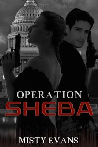 Operation Sheba