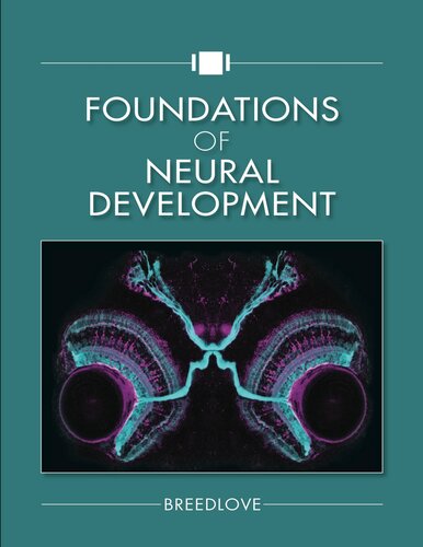 Foundations of Neural Development