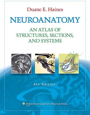 Neuroanatomy