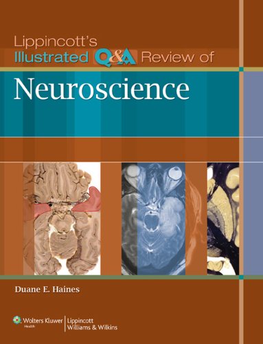 Lippincott's Illustrated Q Review of Neuroscience