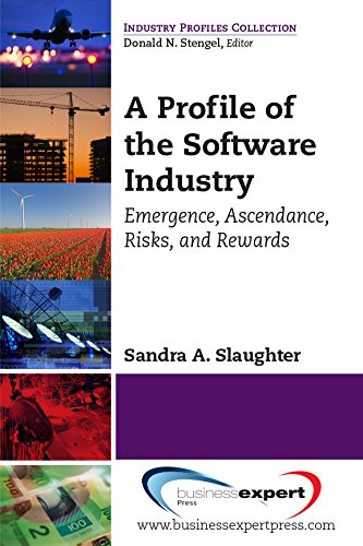 A Profile of the Software Industry