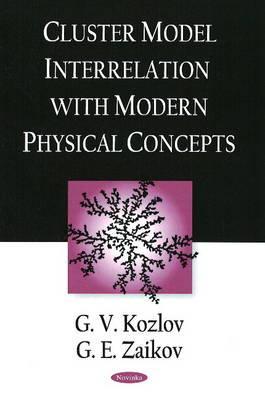 Cluster Model Interrelation with Modern Physical Concepts